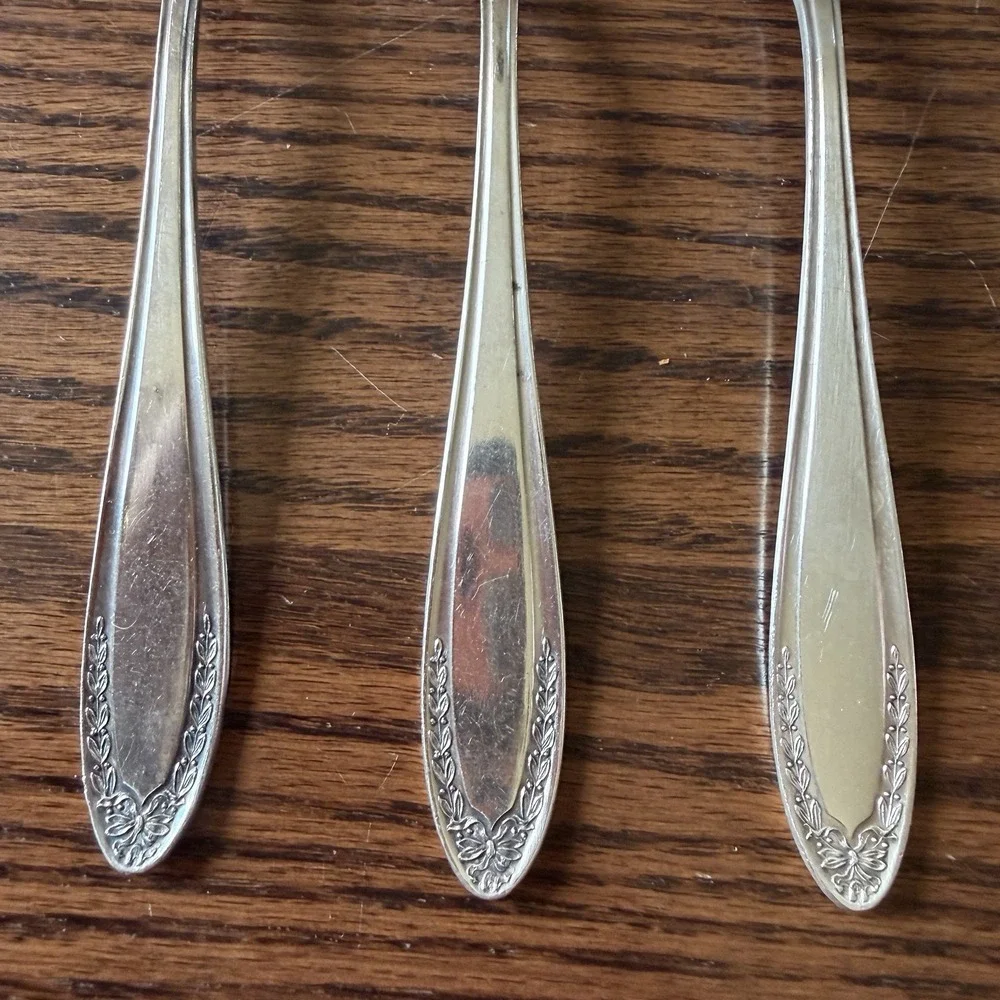 Vtg Oneida Community Bridal Wreath Silver Plate Tablespoon Serving Spoon (5)